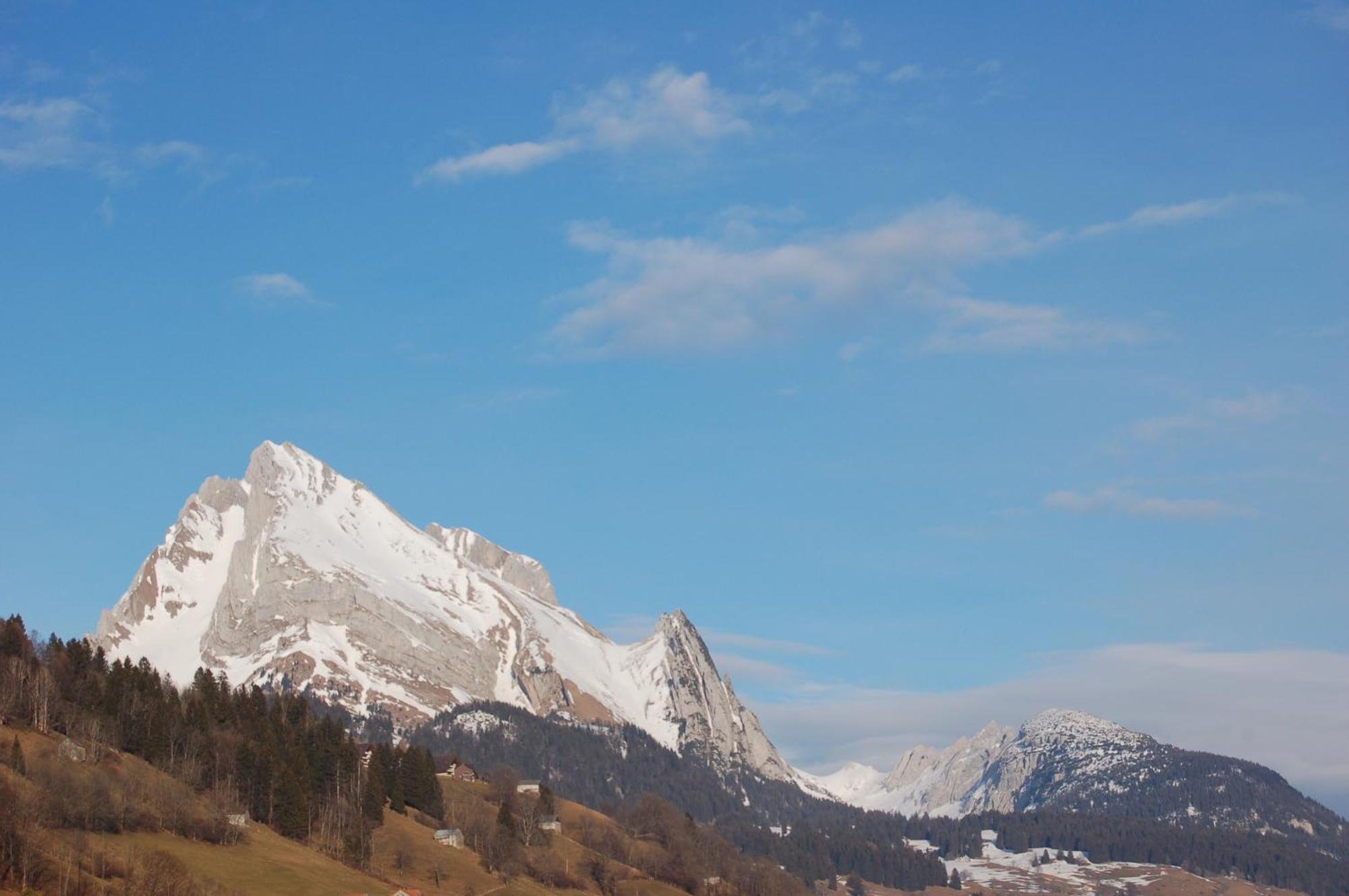 Gasthaus Schaefli Alt St. Johann المظهر الخارجي الصورة