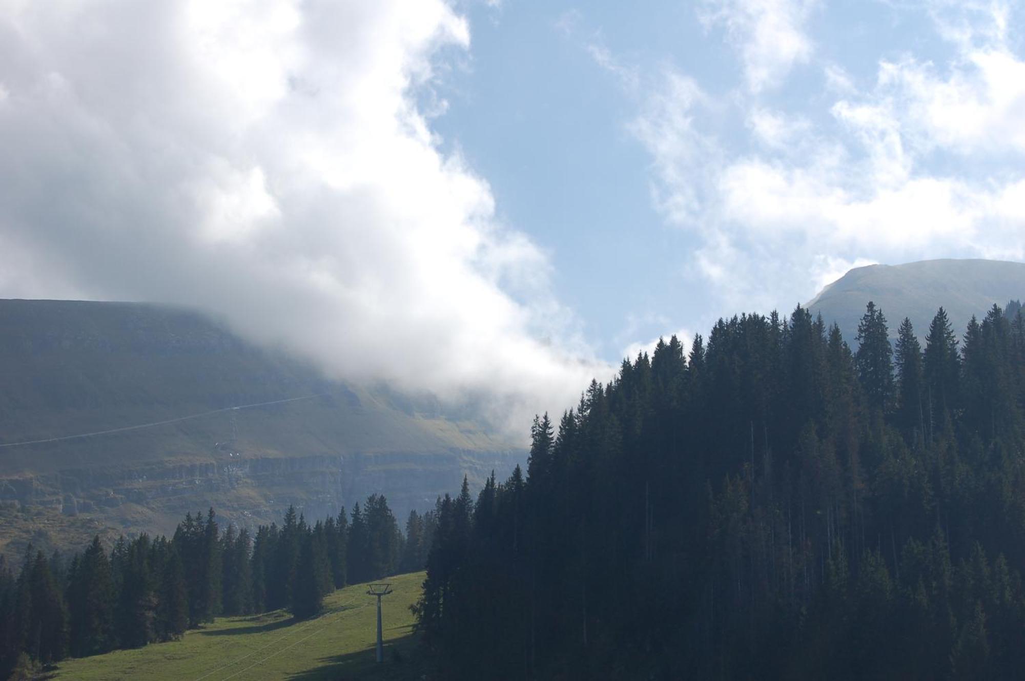 Gasthaus Schaefli Alt St. Johann المظهر الخارجي الصورة